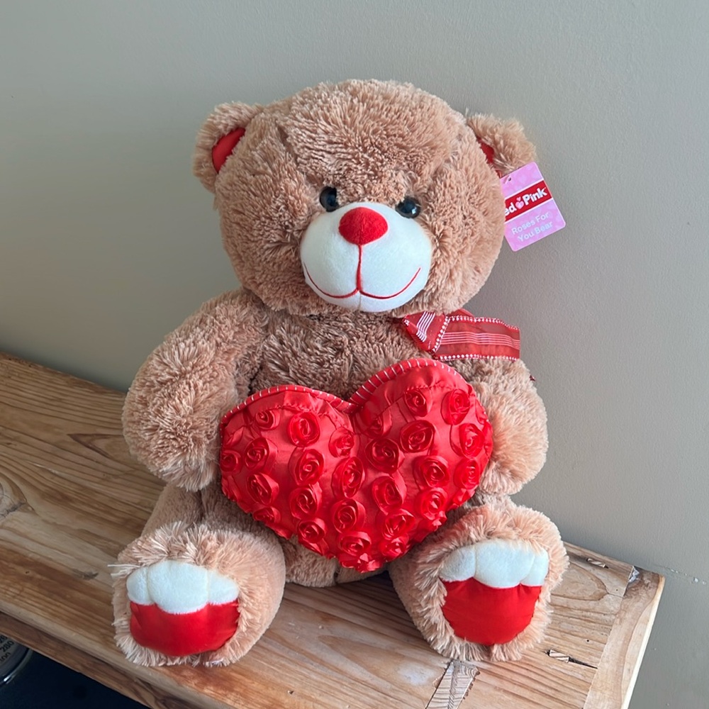 Valentines Heart Bear Plush CVS 2021 18” Roses for your Bear New